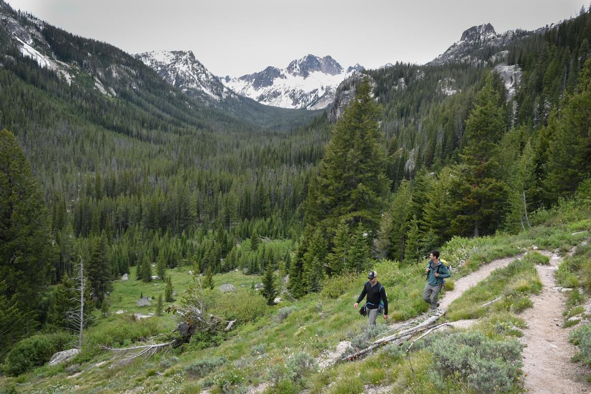 SRX_SAWTOOTHS7.JPG_t1200.jpg